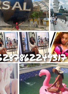 Ts Just Arive in Borneo - Transsexual escort in Bali Photo 6 of 6