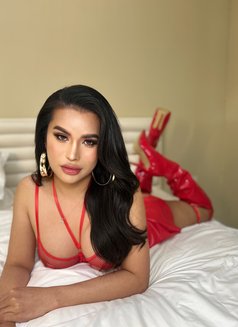 TS KARA, The Best LadyboyinTown... - Transsexual escort in Dubai Photo 21 of 23