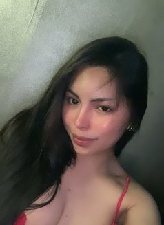 TS kate - Transsexual escort in Davao Photo 6 of 15