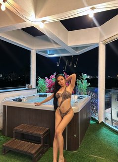 Ts.Kathrina 🇵🇭 - Acompañantes transexual in Tel Aviv Photo 13 of 14