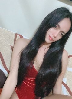 Ts Kathylicious - Transsexual escort in Manila Photo 4 of 7
