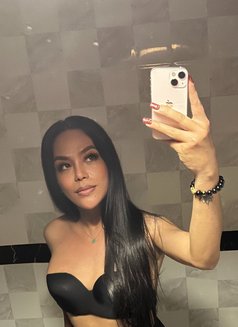 TS - KENDRA - Transsexual escort in Al Sohar Photo 15 of 15