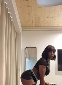 Ts Kendra - Transsexual escort in Stuttgart Photo 18 of 28