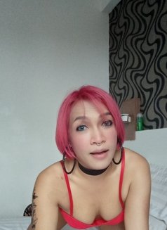 TS kikie mendoza - Transsexual escort in Kuala Lumpur Photo 18 of 22