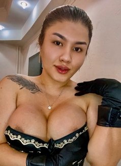 Ts Kira🇰🇿 - Transsexual escort in İstanbul Photo 1 of 12