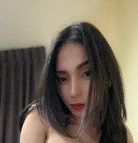 Ts Kisses - Transsexual escort in Bangkok