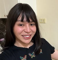 Ts Kitkat camshow only - Transsexual escort in Kuwait