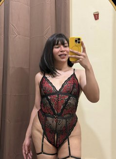 Ts Kitkat camshow only - Acompañantes transexual in Kuwait Photo 2 of 5