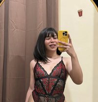 Ts Kitkat camshow only - Transsexual escort in Kuwait