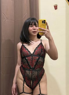 Ts Kitkat camshow only - Acompañantes transexual in Kuwait Photo 3 of 5