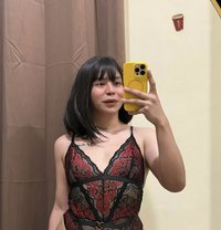 Ts Kitkat camshow only - Transsexual escort in Kuwait