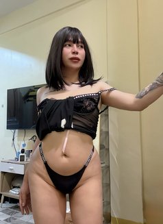 Ts Kitkat camshow only - Acompañantes transexual in Kuwait Photo 4 of 5