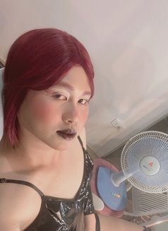 Ts Ladybig - escort in Dubai Photo 2 of 5