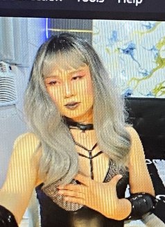 Ts Ladybig - escort in Dubai Photo 5 of 5