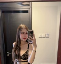 Ts Ladyboy Big Dick Cintya Alesa in Kl - Transsexual escort in Kuala Lumpur
