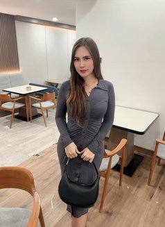 Ts Ladyboy Big Dick Cintya Alesa in Kl - Transsexual escort in Kuala Lumpur Photo 5 of 11