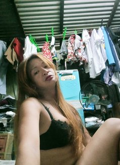 Ts Laika - Transsexual escort in Manila Photo 5 of 5