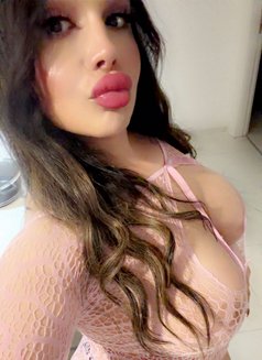 Ts Layal شيميل visiting 🇺🇸🇮🇶 اربيل - Acompañantes transexual in Erbil Photo 15 of 17