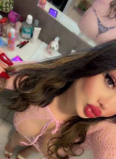 Ts Layal شيميل visiting 🇺🇸🇮🇶 اربيل - Acompañantes transexual in Erbil Photo 17 of 17