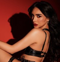 TS LEXI: Served Sizzling Hot & Spicy! - Transsexual escort in Kuala Lumpur