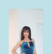 Ts Lillylinmendoza - Transsexual escort in Bangkok