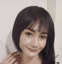 Ts Lillylinmendoza - Transsexual escort in Bangkok
