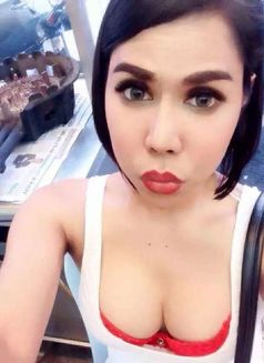 Ts Lisa 100% New One And Hard Cock - Transsexual escort in Kuala Lumpur Photo 6 of 6