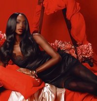 Ts Lisa Leaune - Transsexual escort in Berlin