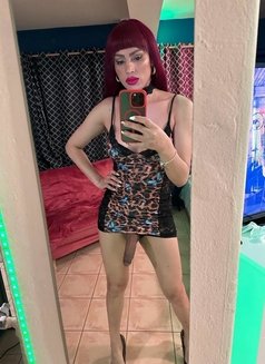ts_Lisy from 🇨🇺 - Transsexual escort in Athens Photo 3 of 12