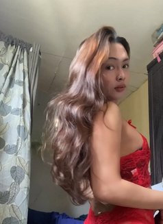 Ts Lou (Meet and Camshow) - Transsexual escort in Manila Photo 1 of 5