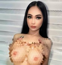 TS Louise Hardcock (Selling Contents) - Transsexual escort in Manila