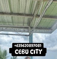 Ts Lovely Lynn Your Sexy Chubby Trans - Transsexual escort in Cebu City