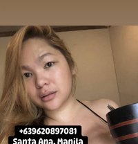Ts Lovely Lynn Your Sexy Chubby Trans - Transsexual escort in Manila