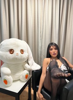 TS MADISON versa - Acompañantes transexual in Ipoh Photo 21 of 21