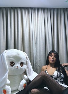 Ts Madison with poppers - Transsexual escort in Chandigarh Photo 14 of 24