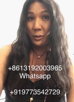 TS Malena Big Cock POWER TOP - Transsexual escort in Guangzhou Photo 21 of 30