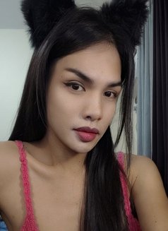 Ts Marie - Acompañantes transexual in Angeles City Photo 13 of 13