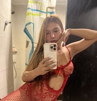 Ts Mariel2024 - Transsexual escort in Taipei