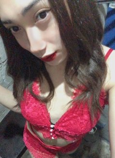 Ts Megan Babe camshow - Transsexual escort in Makati City Photo 4 of 16