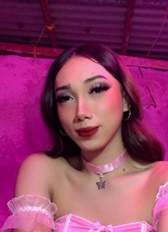 Ts Megan Babe camshow - Transsexual escort in Makati City Photo 9 of 16