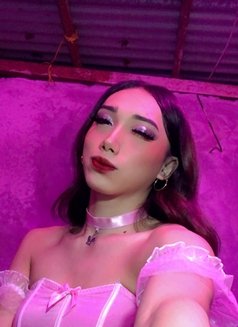 Ts Megan Babe camshow - Transsexual escort in Makati City Photo 10 of 16