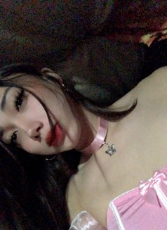 Ts Megan Babe camshow - Transsexual escort in Makati City Photo 13 of 16