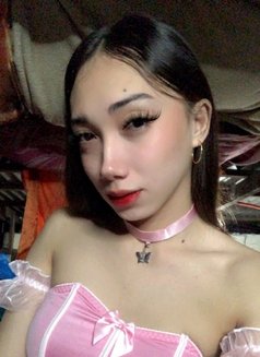 Ts Megan Babe camshow - Transsexual escort in Makati City Photo 14 of 16