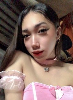 Ts Megan Babe camshow - Transsexual escort in Makati City Photo 15 of 16