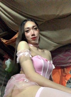 Ts Megan Babe camshow - Acompañantes transexual in Makati City Photo 16 of 16