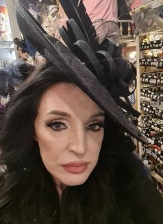 Ts Michelle, Finnish Transsexual escort in Stockholm