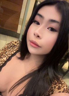 Ts Mika - Acompañantes transexual in Da Nang Photo 1 of 15