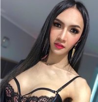 TS Mikimoto - Transsexual escort in Bangkok