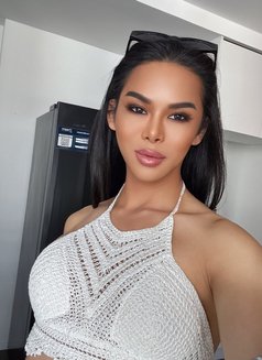 Ts Mila Thai - Transsexual escort in Dubai Photo 1 of 18