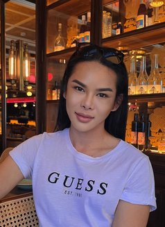 Ts Mila Thai - Transsexual escort in Dubai Photo 9 of 18
